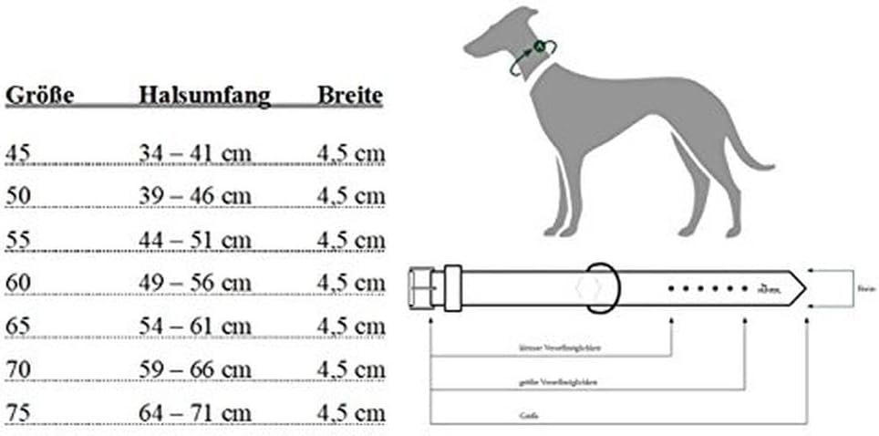 HUNTER Hundehalsband NEOPREN REFLECT, Farbe: rot/schwarz, weiche Polsterung, reflektierend, besonder