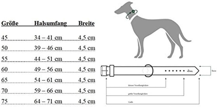 HUNTER Hundehalsband NEOPREN REFLECT, Farbe: rot/schwarz, weiche Polsterung, reflektierend, besonder