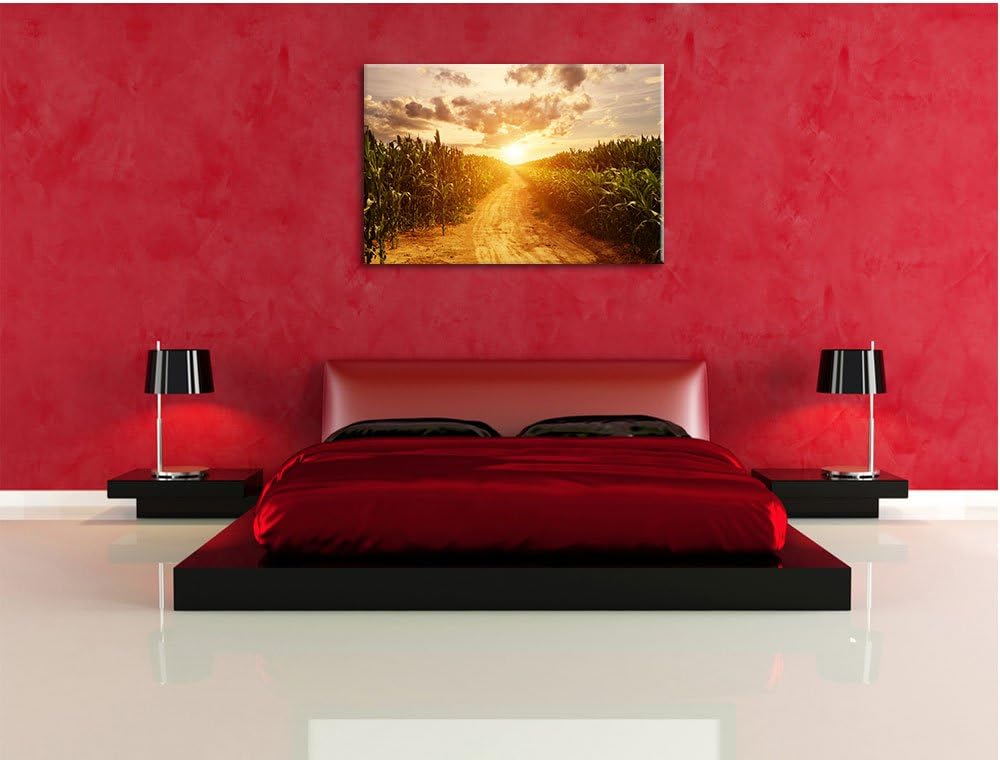 Pfad durch sonniges Feld, Format: 100x70 auf Leinwand, XXL riesige Bilder fertig gerahmt mit Keilrah