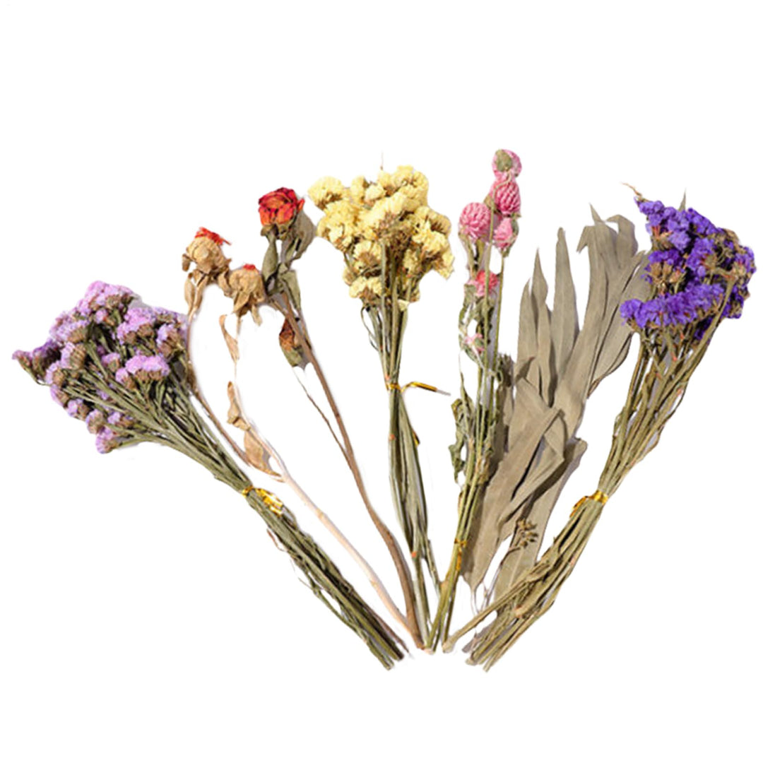 Trockenblumen-Bettwäsche für Hamster, natürliche Hamster-Bettwäsche, Kleintierblumen, Lebensraum-, L