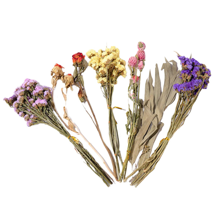Trockenblumen-Bettwäsche für Hamster, natürliche Hamster-Bettwäsche, Kleintierblumen, Lebensraum-, L