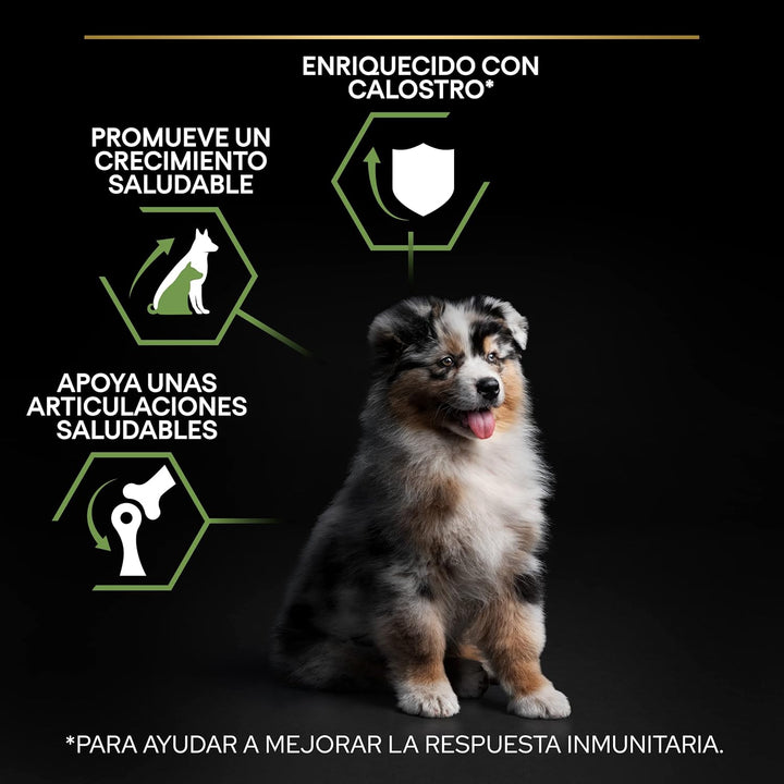 Pro Plan PURINA PRO PLAN Medium Puppy Healthy Start, Welpenfutter trocken, reich an Huhn, 1er Pack (