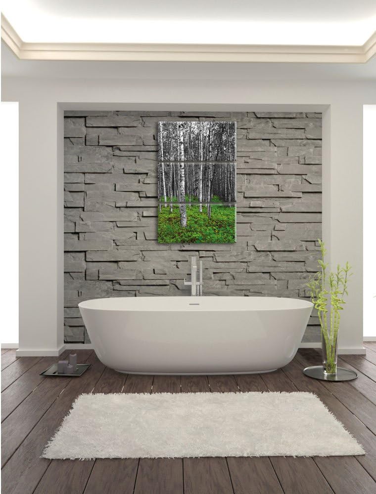 Pixxprint Kleiner ansehnlicher Birkenwald als Leinwandbild/Grösse: 3 Teilig (120x80) cm/Wandbild/Kun