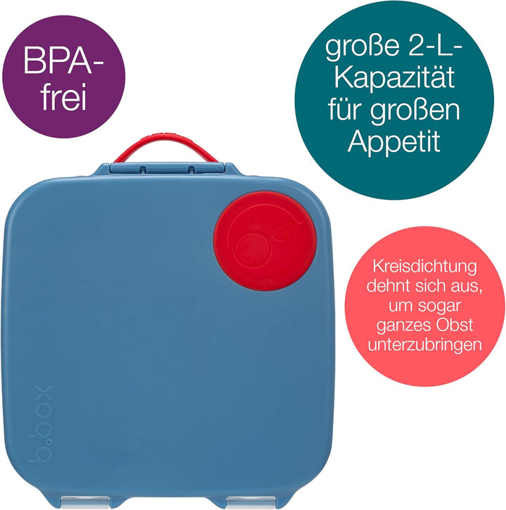 b.box Brotdose Kinder mit Fächern | Jumbo Bento Box mit 4 Fächern (2 Auslaufsicher), Herausnehmbarer