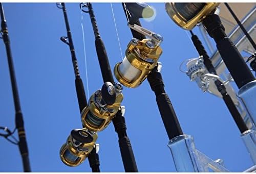 Penn Reels Salzwasserhebel Drag INT80VISWS International Leverdrag Conventional 2-Gang-Rolle 80