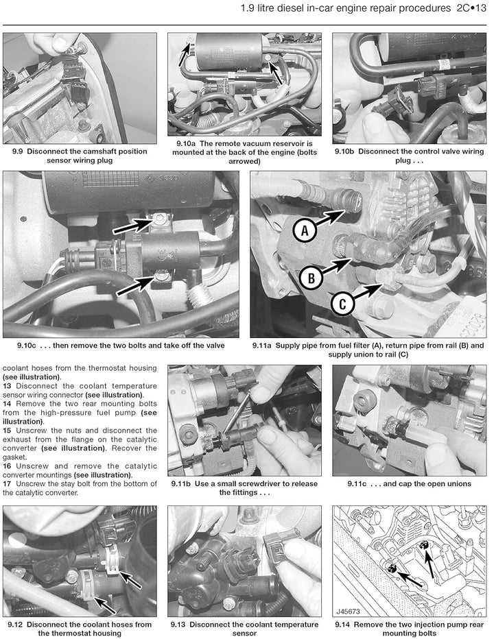Renault Megane, Taschenbuch