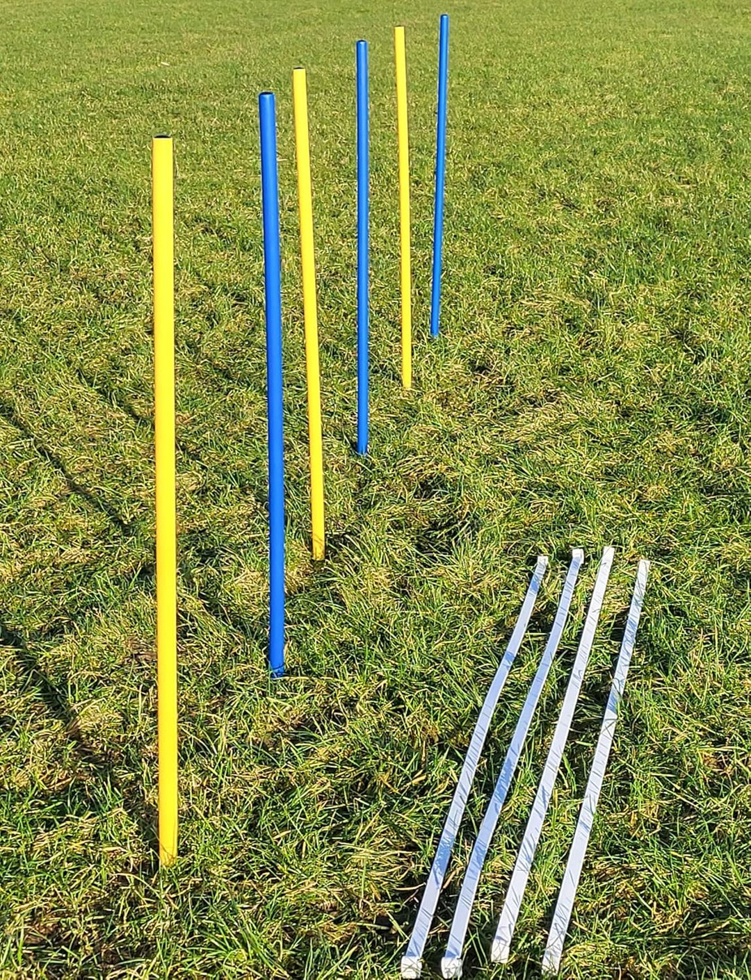 Agility - Slalom - AUSBILDUNGSSET MIT 4 SLALOMBÖGEN/TRAININGSBÖGEN + 6 SLALOMSTANGEN GELB/BLAU