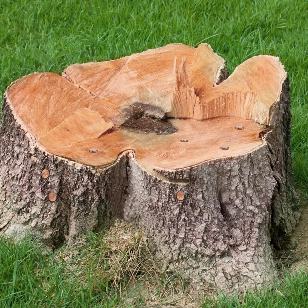 LALAGO 14 stück Grosse Kupfernägel, Kupfernägel Baumkiller, Solid Kupfer Schlagkraft Nägel, 89mm Lan