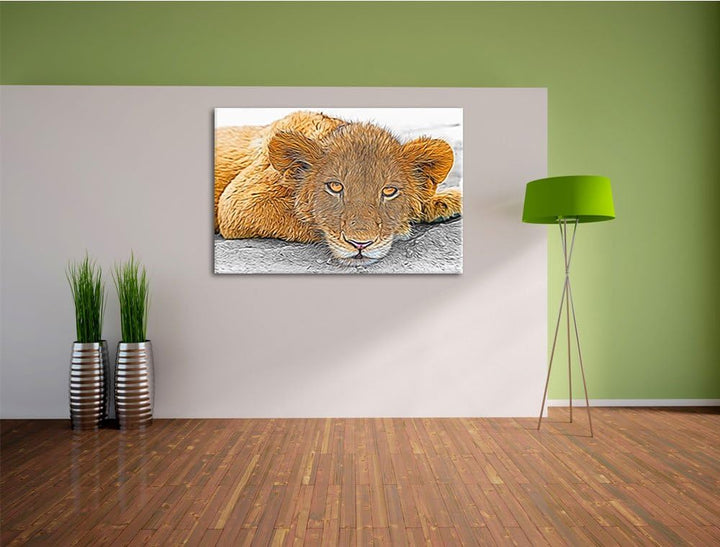 schläfriger junger Löwe schwarz/weiss Deluxe Format: 100x70 cm auf Leinwand, XXL riesige Bilder fert