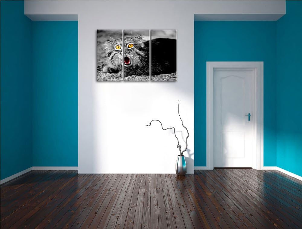 scheue Manul schwarz/weiss Deluxe 3-Teiler Leinwandbild 120x80 Bild auf Leinwand, XXL riesige Bilder
