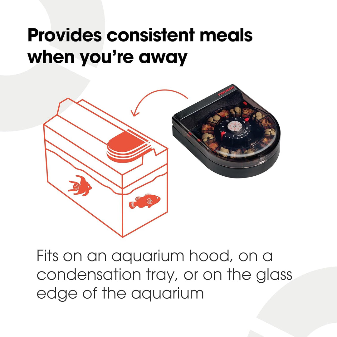 Fish Mate F14 Futterspender für Aquarien