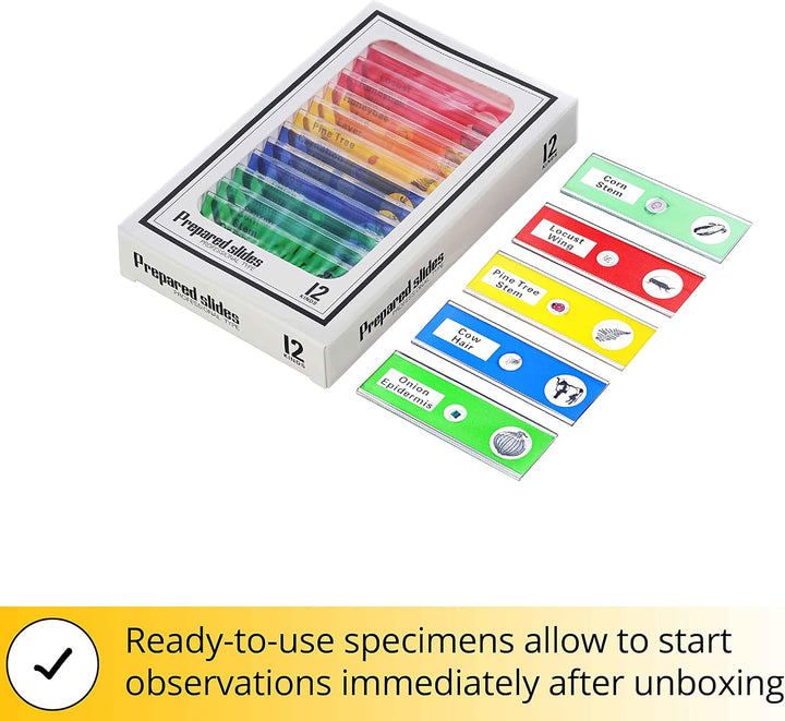 Levenhuk Rainbow DM700 LCD Digitales Drahtloses Mikroskop mit 17,8-cm-LCD-Bildschirm, 10- bis 200-Fa