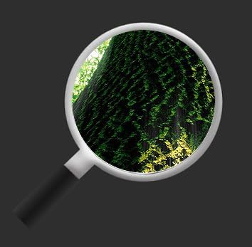 islandburner Bild Bilder auf Leinwand Baumkrone Grün Wald Sonnenstrahlen Bäume 3p XXL Poster Leinwan