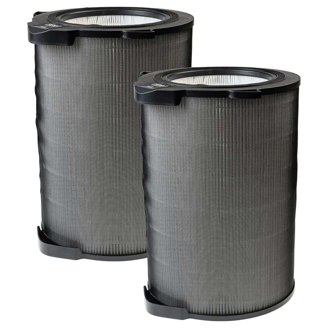 vhbw 2x H12 Filter kompatibel mit AEG AX 91 600 CADR, AX91-604DG, AX91-604GY Luftreiniger - Ersatz-F
