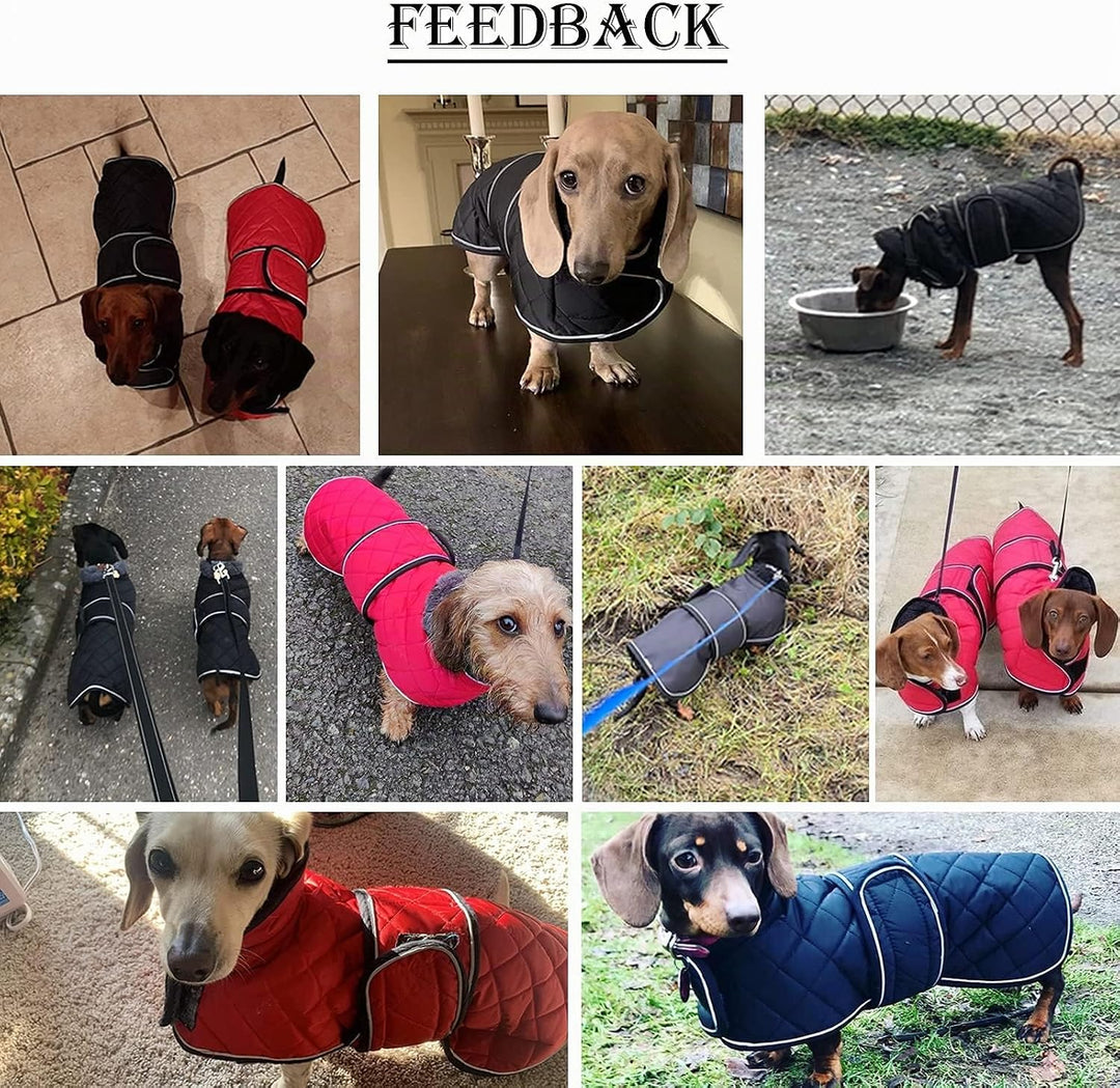 MOREZI Hundemantel Winter für Dackel - Wasserdichter Hunde Pullover mit Wolle Futter & Verstellbaren