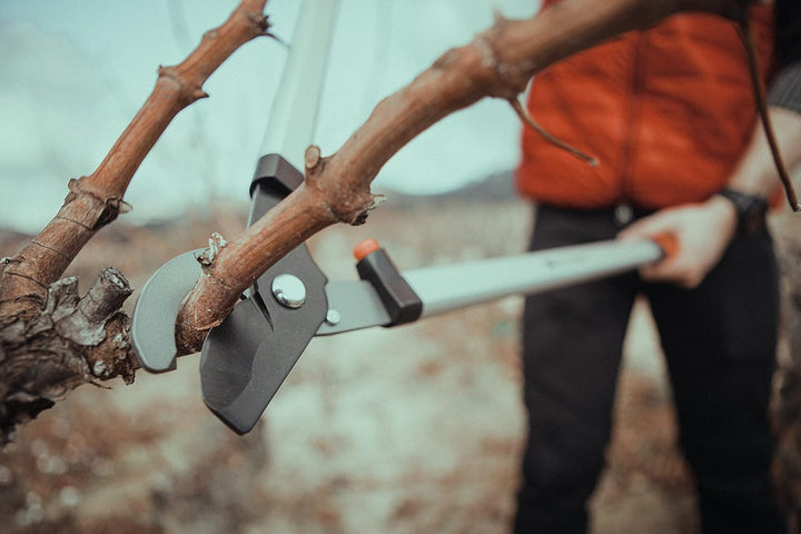 TIJERA PODA DOS MANOS ALUMINIO 70CM