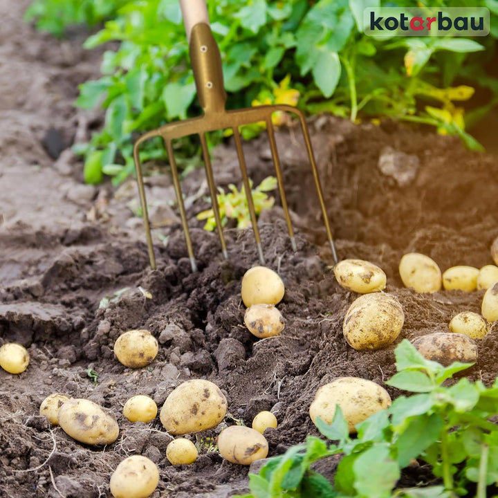 KOTARBAU® Forke 6 Zinken mit Stiel Heugabel Mistgabel Mistforke Gartengabel Gartenforke Dunggabel Sp