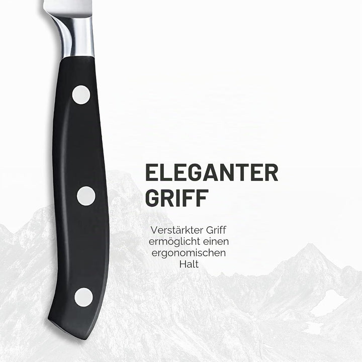 Victorinox, Grand Maître, Profi Tomaten- und Steakmesser, Extra Scharfe Klinge, Wellenschliff, 12 cm
