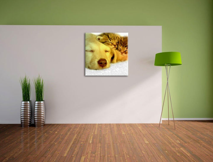 Pixxprint niedlicher Welpe kuschelt mit süssen Kätzchen schwarz/weiss, Format: 70x70 auf Leinwand, X