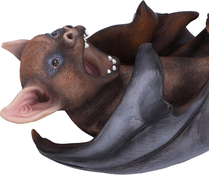 Nemesis Now Guzzlers Fledermaus, 23,5 cm, Kunstharz, gegossen aus feinstem Harz, fachmännisch handbe