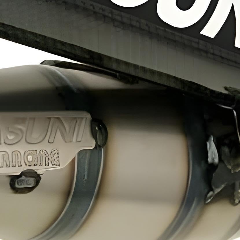 Auspuff Yasuni Carrera 16 Carbon für Piaggio