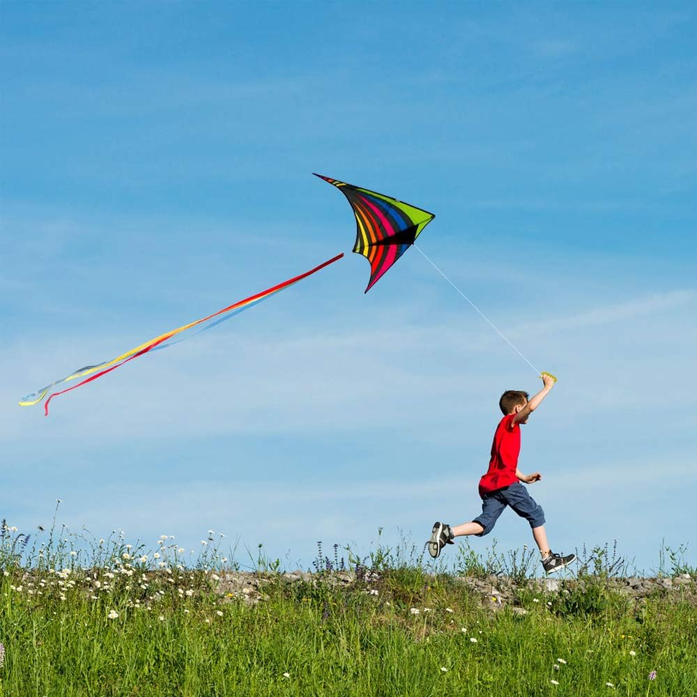 Mint's Colorful Life Delta Drachen Flugdrachen für Kinder und Erwachsene, extrem einfach zu Fliegend