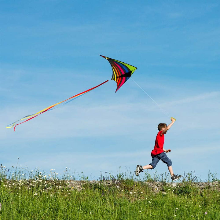 Mint's Colorful Life Delta Drachen Flugdrachen für Kinder und Erwachsene, extrem einfach zu Fliegend