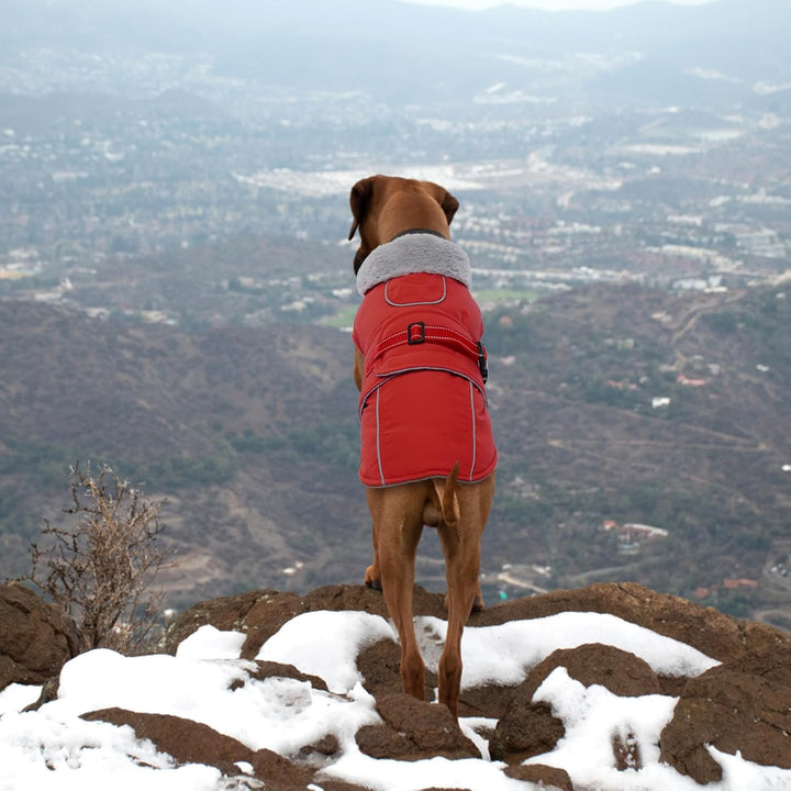 Lelepet Hundemantel Winterweste Reflektierende Fleece Hundejacke für Grosse Hunde Wasserdicht Hundej