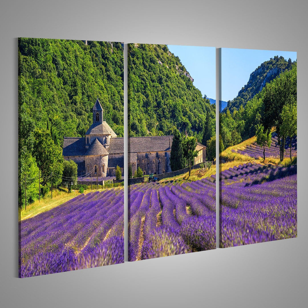 islandburner Bild auf Leinwand Blühendes Lila Lavendelfeld In Der Senanque Abtei Gordes Provence Fra