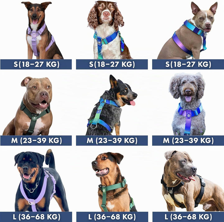 Spark Paws No Pull Hundegeschirr mit Griff für grosse Hunde, strapazierfähiges Hundegeschirr für gro