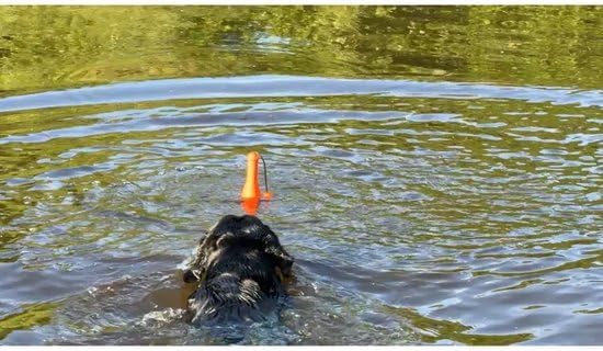 Bobber – 23 cm – Hundespielzeug – Hundeball – Für grosse Hunde geeignet – Schwimmendes Apportierspie