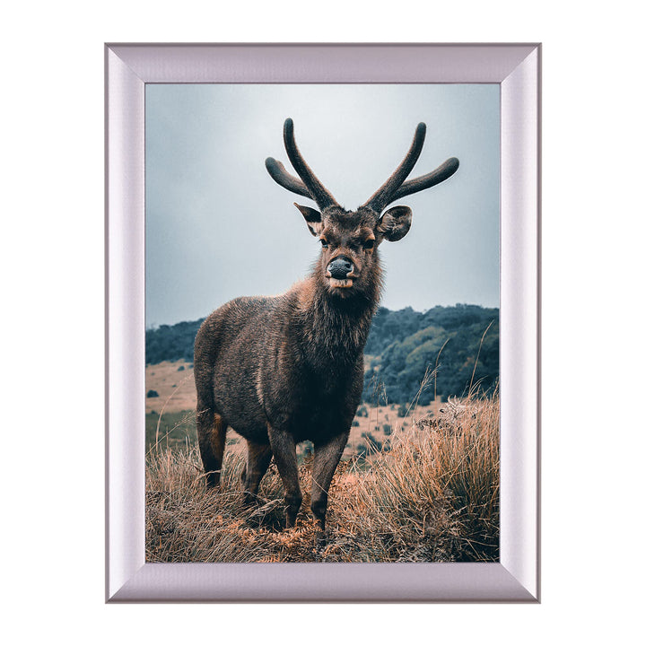 Rahmendesign24 Posterrahmen Fiona 60x60 Alu geschliffen Fotorahmen, Wechselrahmen, Bilderrahmen