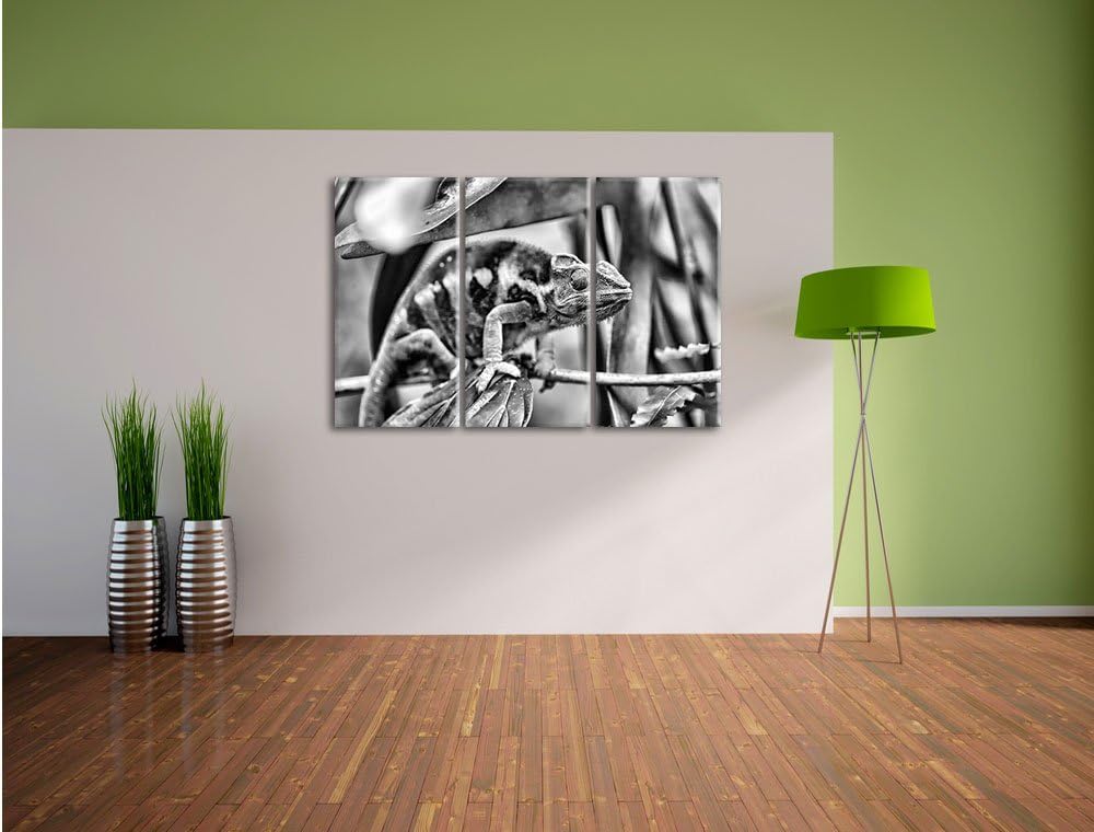 Pixxprint Monocrome, braunes Chamäleon 3-Teiler Leinwandbild 120x80 Bild auf Leinwand