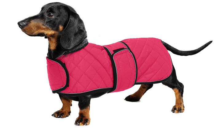 Geyecete - Warmer wintermantel für dackel Hunde,Hunde winterjacken mit plüschfutter,Outdoor jacken m