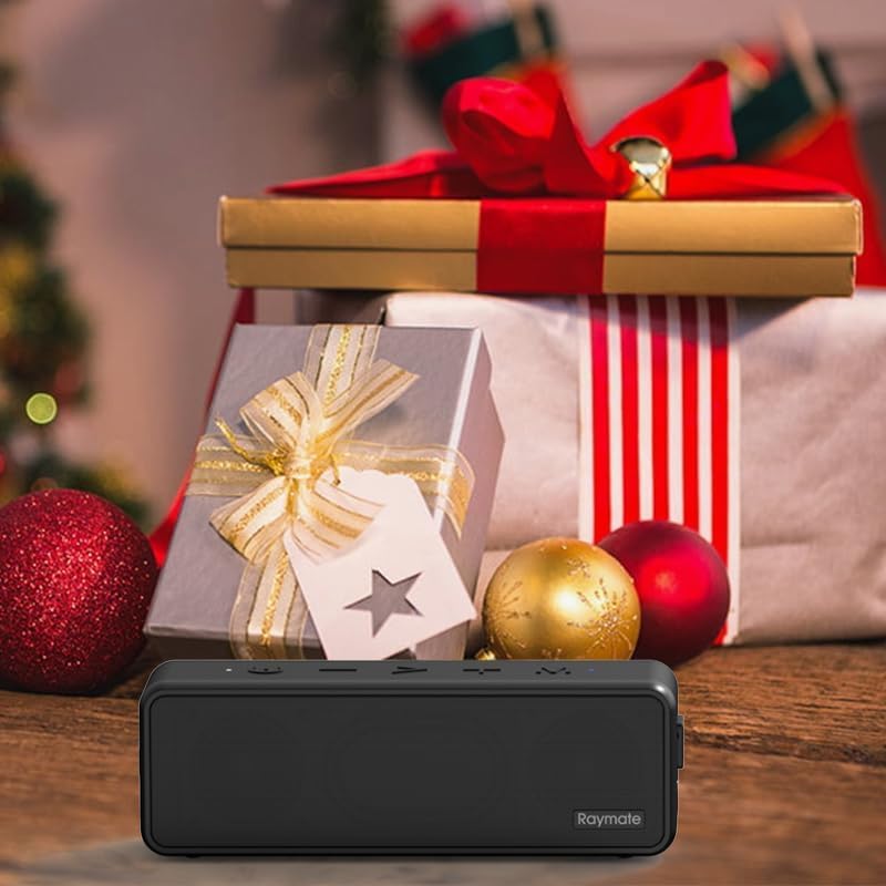 Raymate Bluetooth Lautsprecher Musikbox Tragbarer Bluetooth Box mit Lauter Stereo Sound, Satter Bass