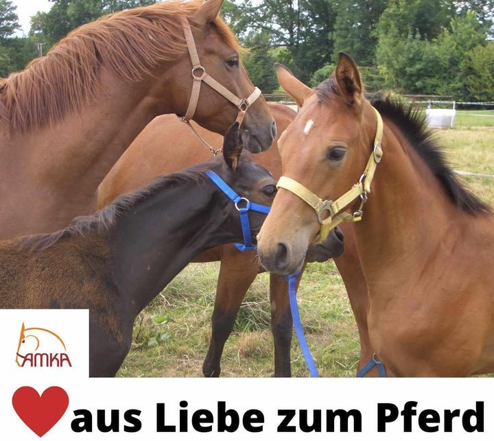 AMKA Elastisches Vorderzeug