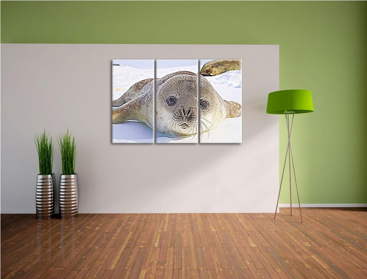 Süsses Robben Baby Spezial 3-Teiler Leinwandbild 120x80 Bild auf Leinwand, XXL riesige Bilder fertig
