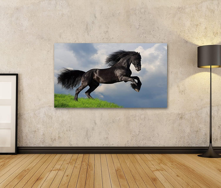 islandburner Bild auf Leinwand Friesisches Pferd Galoppiert Bilder Wandbilder Poster Leinwand 80x40c