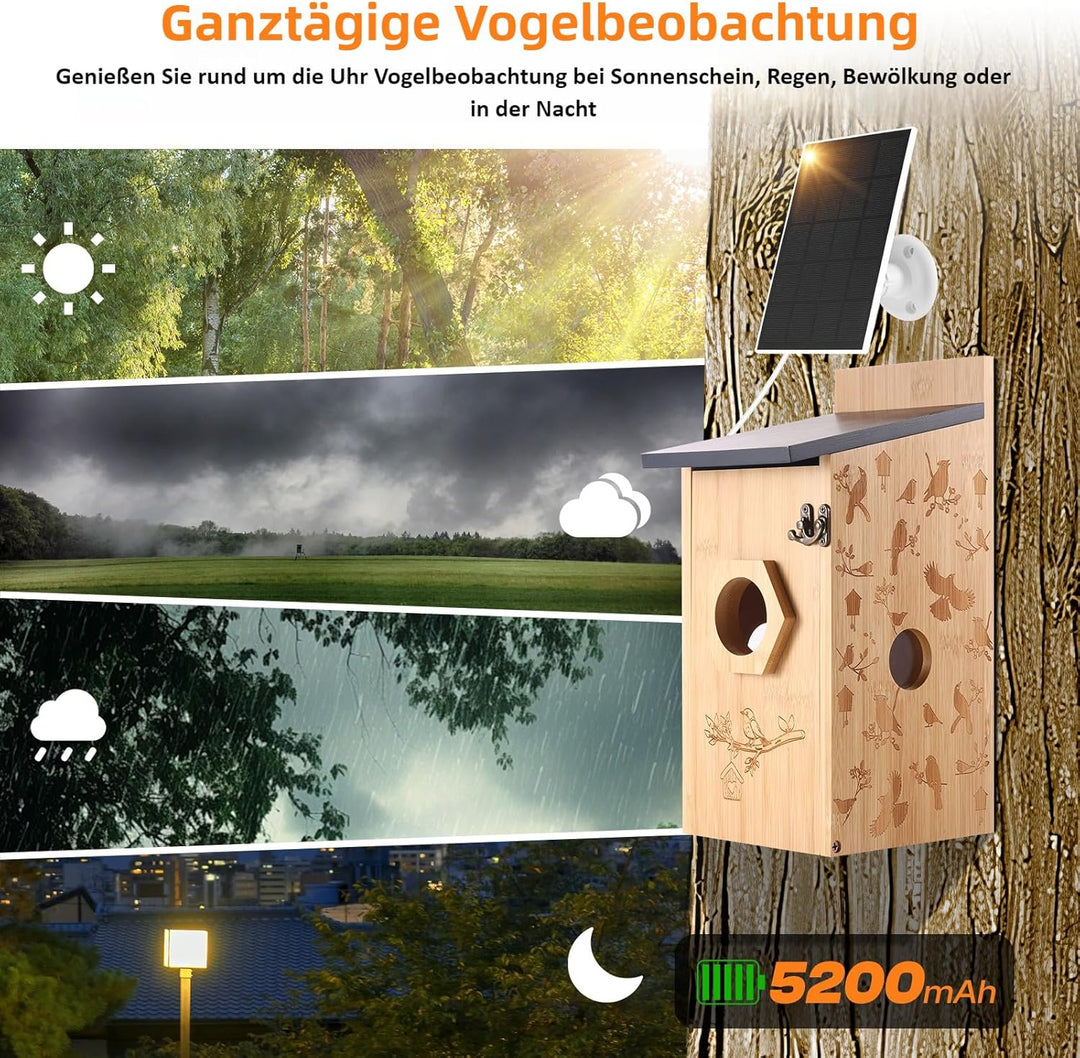 Nistkasten mit 5MP Kamera Solar, Vogelhaus zum Aufhängen für Wetterfest, 2,4G WiFi &amp; App Benachricht