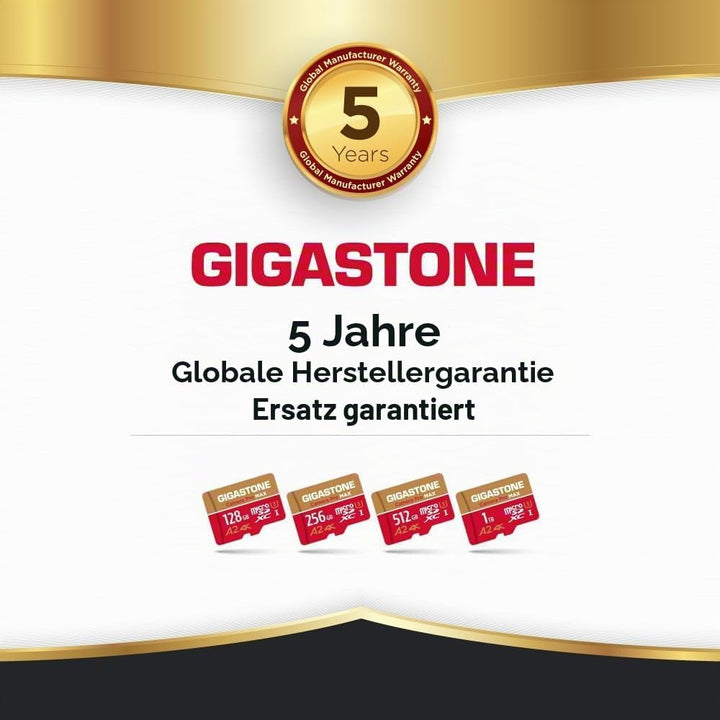 [5 Jahre kostenlose Datenrettung] GIGASTONE 256GB Micro-SD-Karte mit USB 3.2 Typ C Kartenleser, 4K C