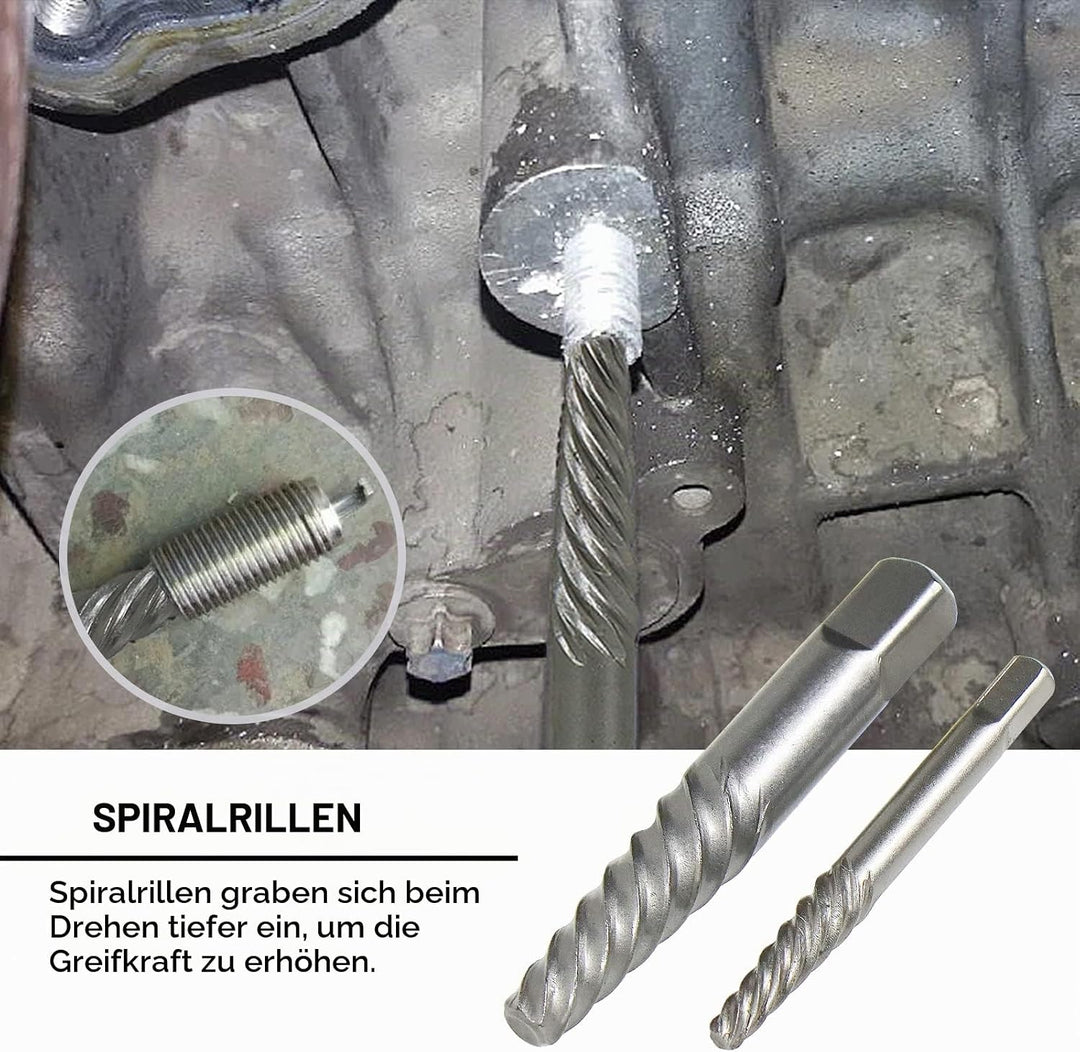 CCLIFE 49tlg 3/8" Cr-Mo Spezial Steckschlüssel Einsatz Linksausdreher Schraubenausdreher Nuss Steckn