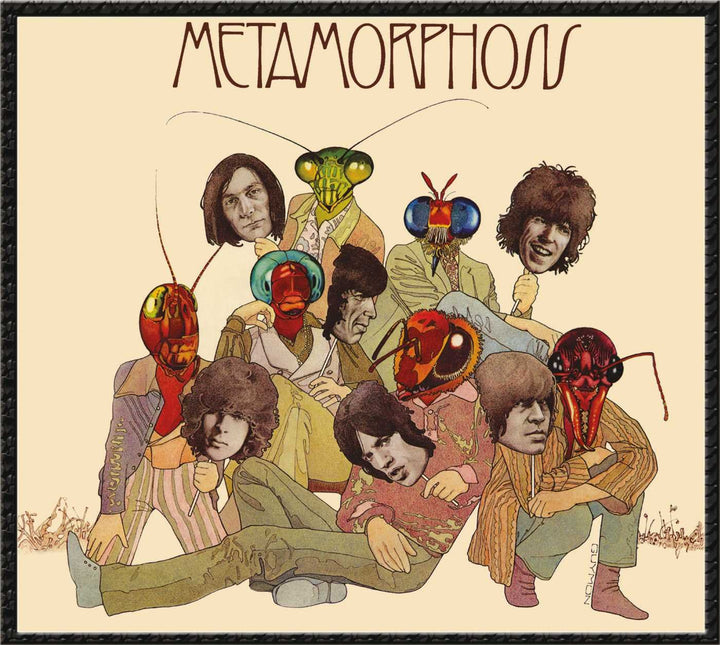 Metamorphosis, Vinyl