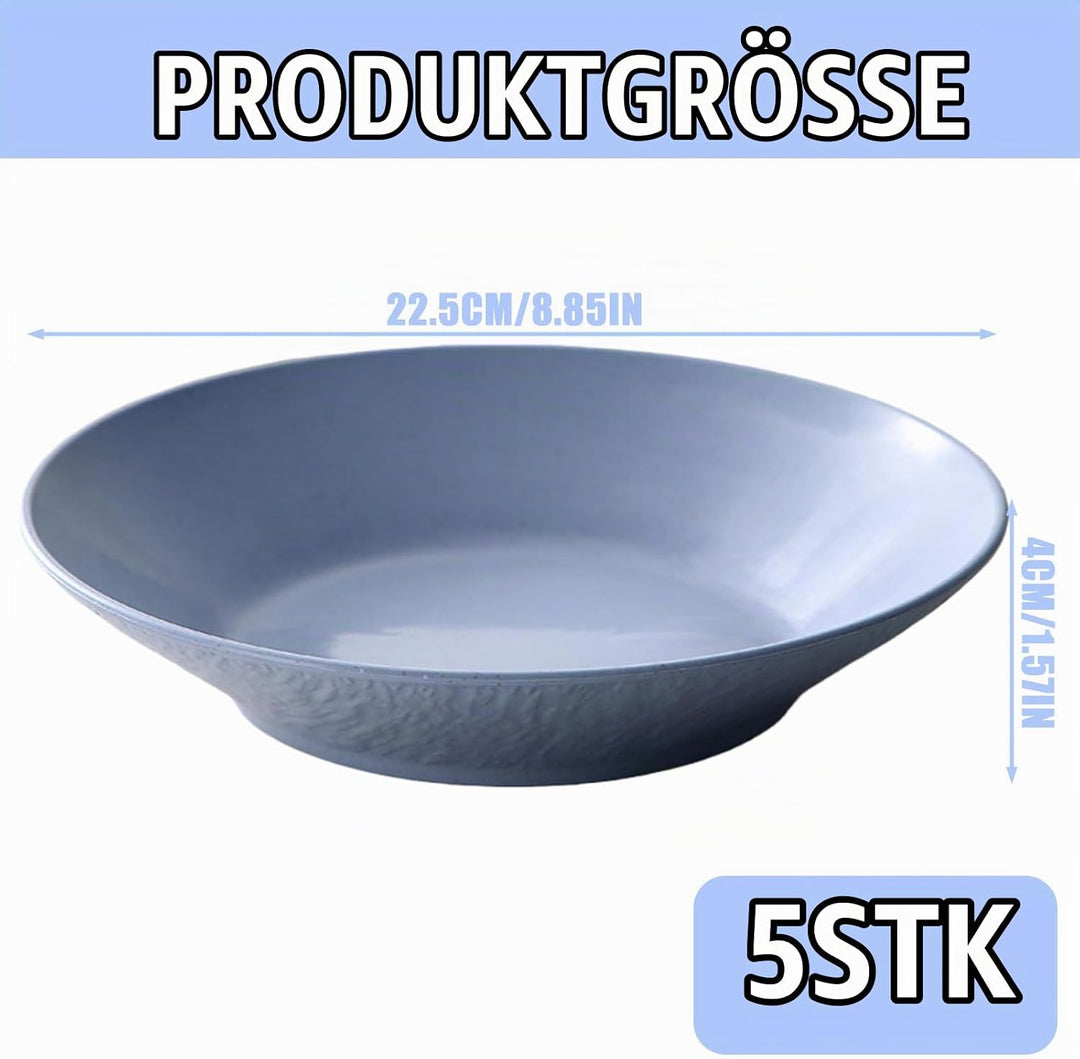 5 Stück Suppenteller Tief aus Kunststoff, 22,5x4cm Wiederverwendbar Plastikteller tief Pasta Teller,