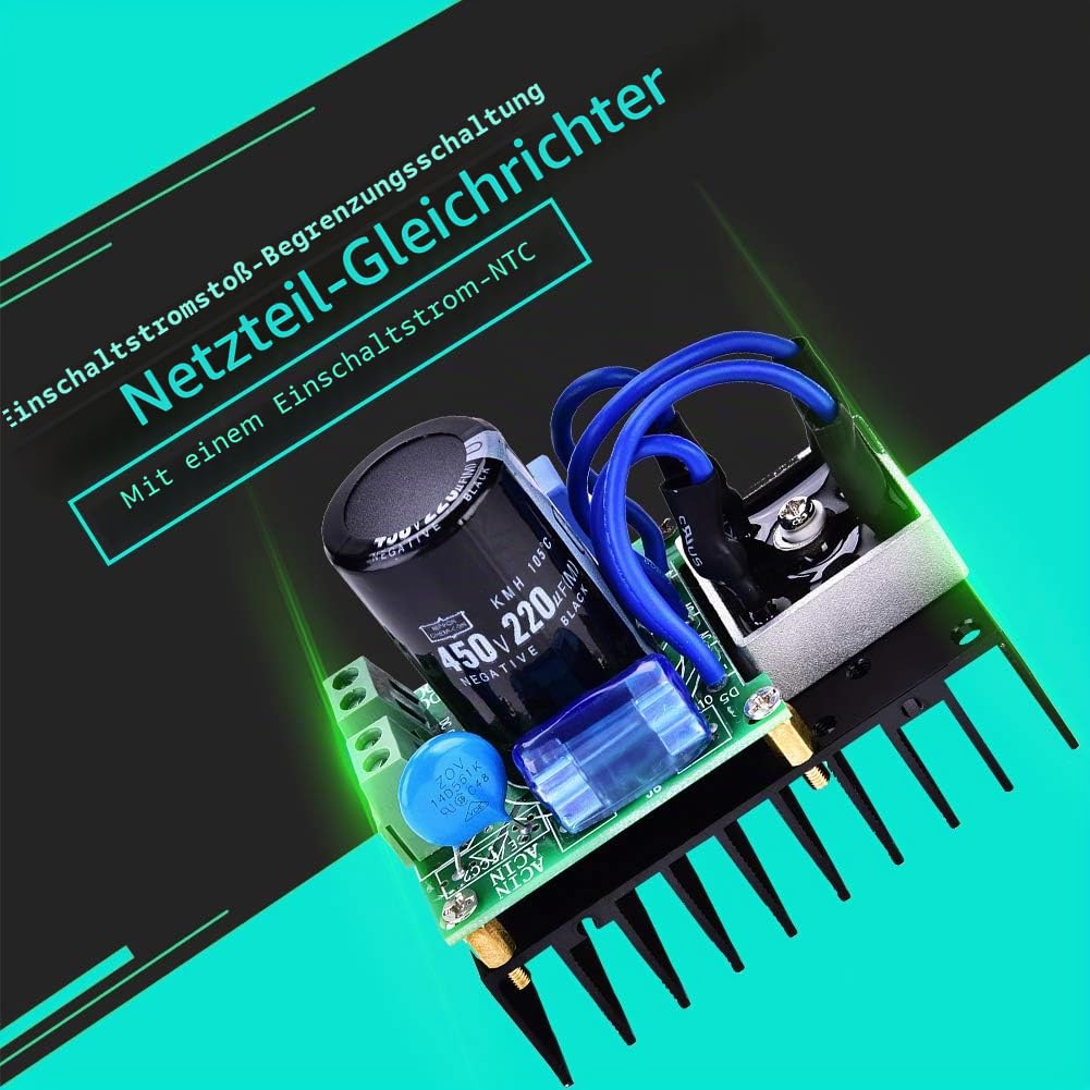0-220 V AC / 0-311 V DC 10 A Gleichrichterplatine Netzteilplatine Gleichrichter mit Blitzschutzröhre