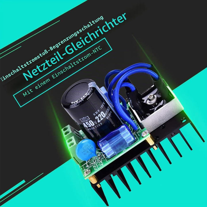 0-220 V AC / 0-311 V DC 10 A Gleichrichterplatine Netzteilplatine Gleichrichter mit Blitzschutzröhre