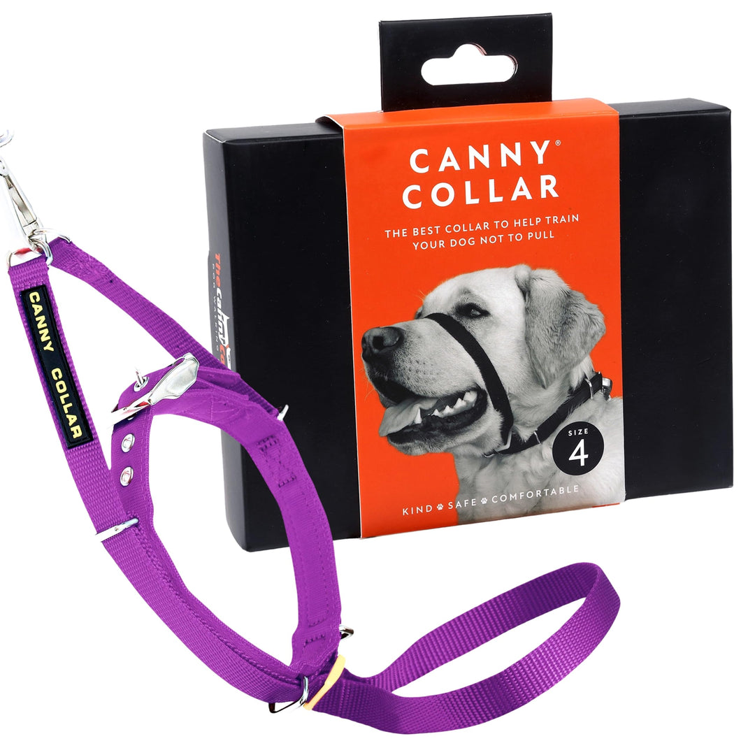Canny Collar Halsband für Hunde, einfache und effektive Hilfe beim Hundetraining und verhindert das