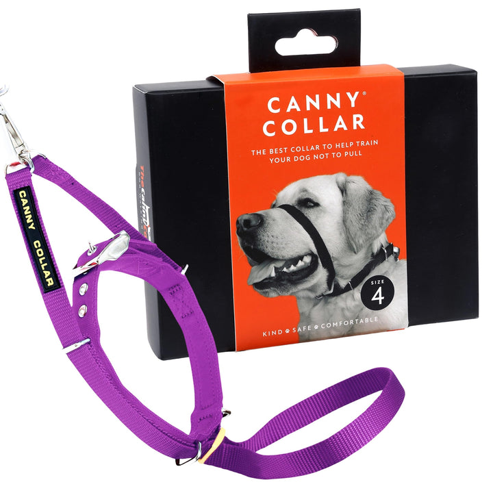Canny Collar Halsband für Hunde, einfache und effektive Hilfe beim Hundetraining und verhindert das