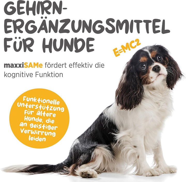 maxxipaws - maxxiSAMe SAM-e Ergänzungsfutter für Hunde -Unterstützung der Leberfunktion & Kognitiver