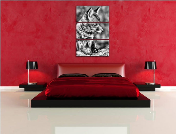 Pixxprint junger Fuchs als Leinwandbild/Grösse: 3 Teilig (120x80) / Wandbild/Kunstdruck/fertig bespa