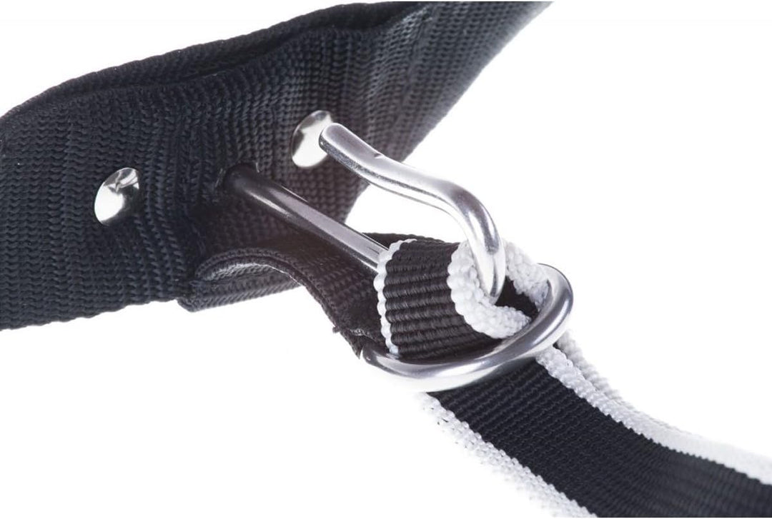 Trekking Belt von Nonstop, Laufgurt,Jogginggurt, Wandergurt für Hunde (S, Purple) S Purple, S Purple